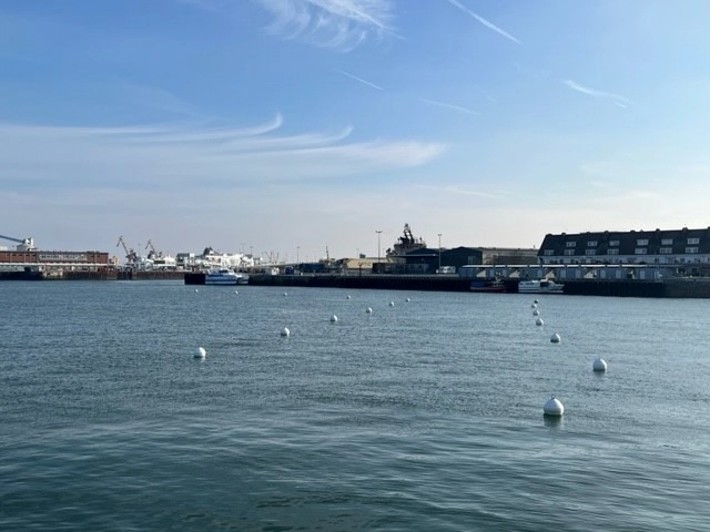 Les 16 bouées d'arrière port sont enfin à votre disposition !