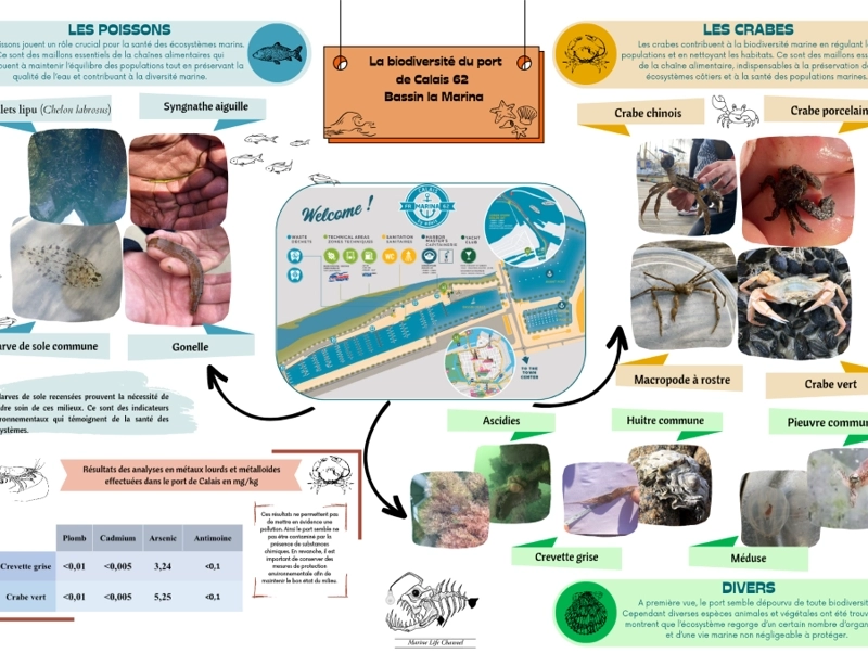 Une étude sur la biodiversité de la marina !